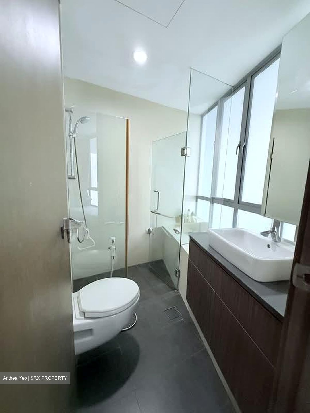 Novelis (D11), Apartment #540091581